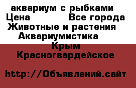 аквариум с рыбками › Цена ­ 1 000 - Все города Животные и растения » Аквариумистика   . Крым,Красногвардейское